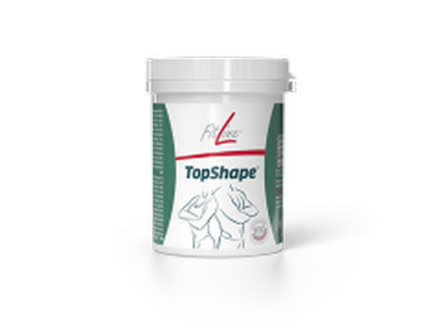 TopShape